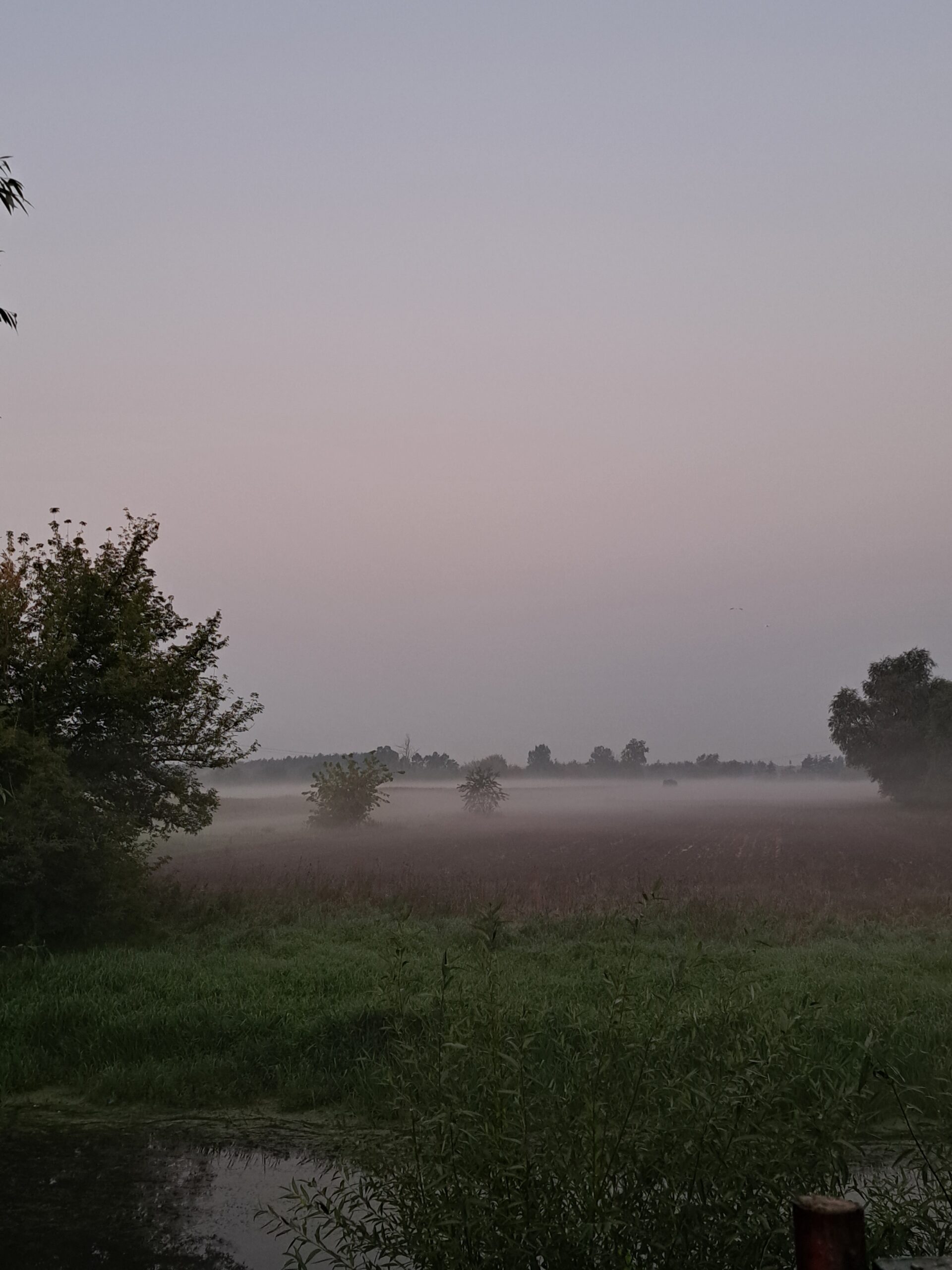 wino, chopin, żelazowa wola, enoturystyka